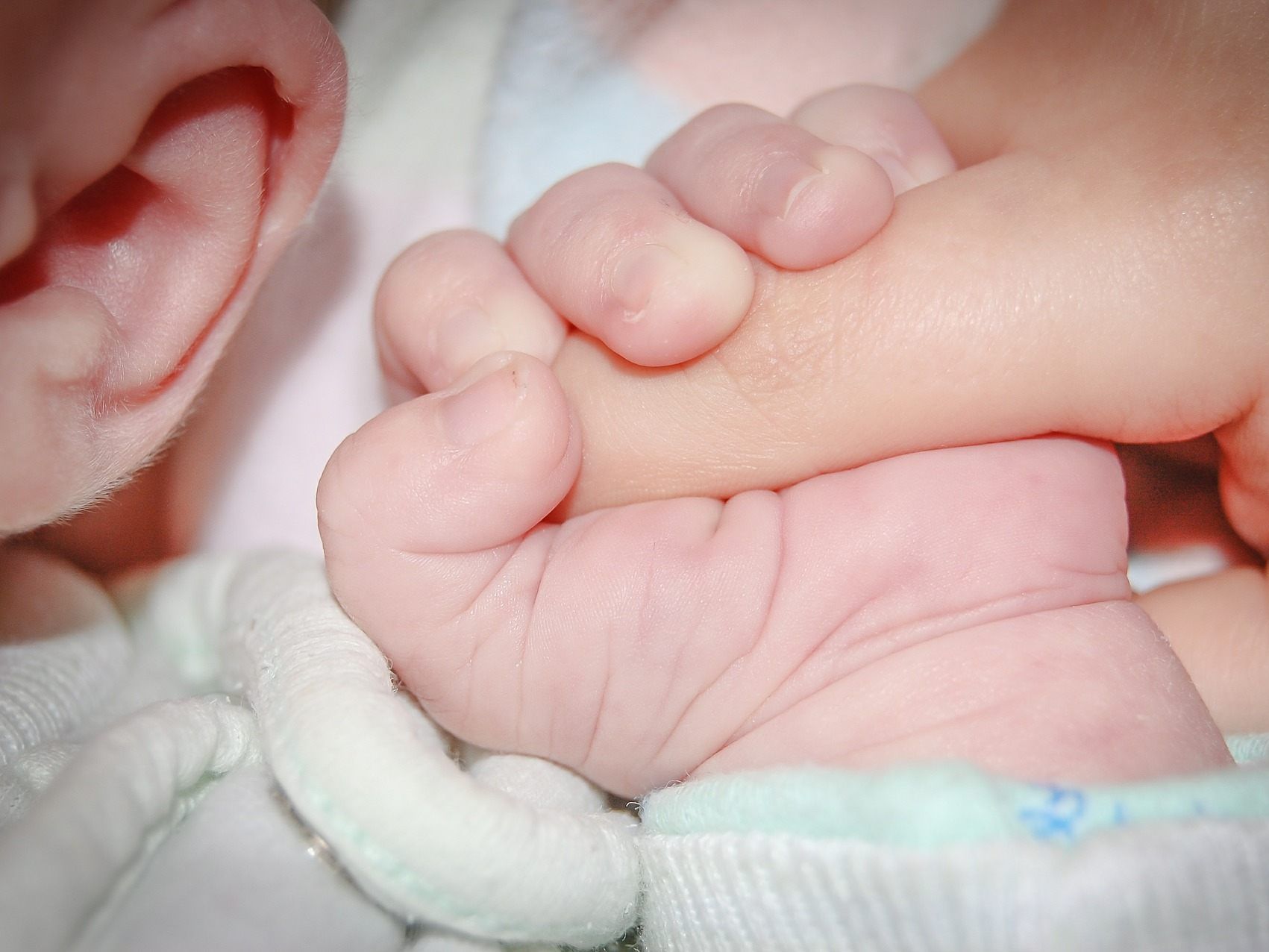 Das Neujahrsbaby wird laut Statistik aus wissenschaftlicher Erhebung ein Bub aus Wien. Das Neujahrsbaby wird laut Statistik aus wissenschaftlicher Erhebung ein Bub aus Wien.