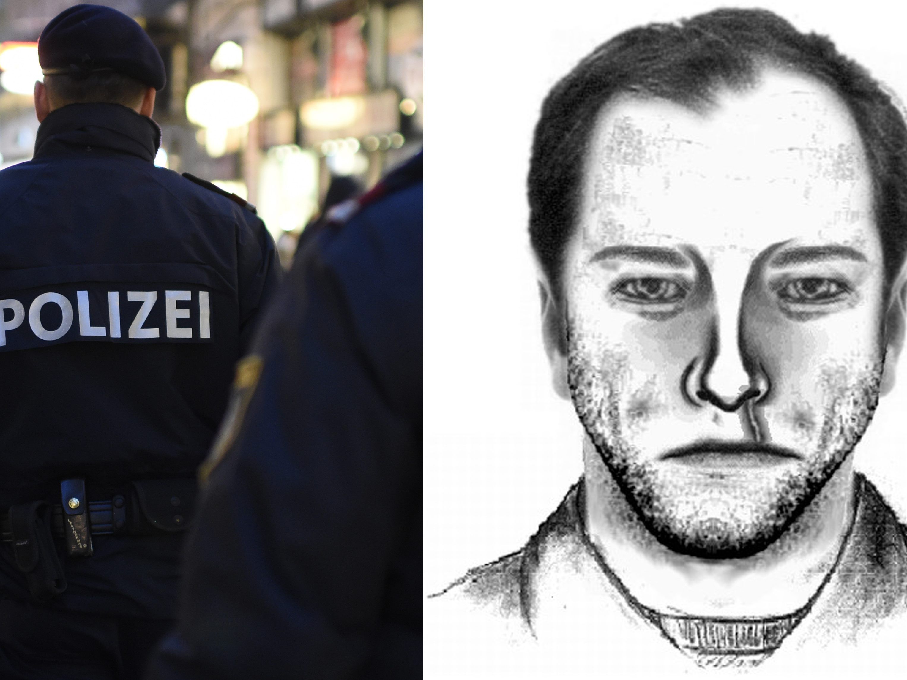 Die LPD Niederösterreich hat ein Phantombild veröffentlicht. Die LPD Niederösterreich hat ein Phantombild veröffentlicht.