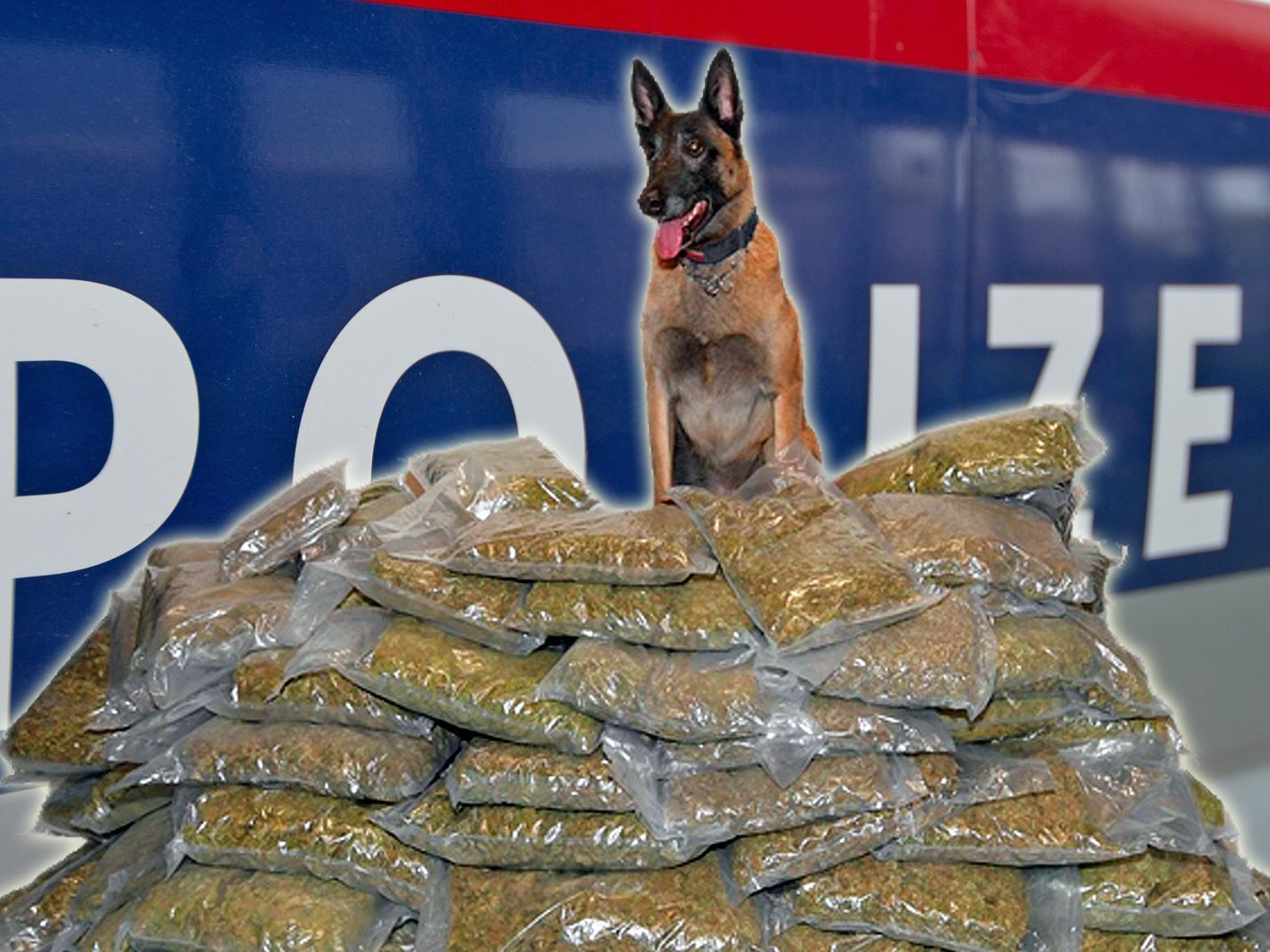 Polizeihund July durfte mit seinem Drogenfund posieren.
