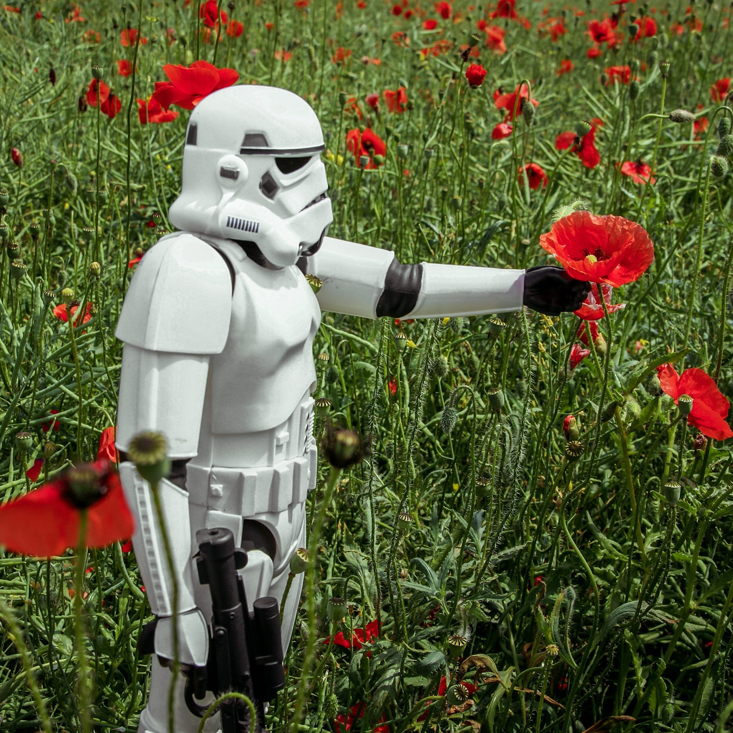 Verliebt in den Roboter: Für ein Fünftel der Deutschen vorstellbar