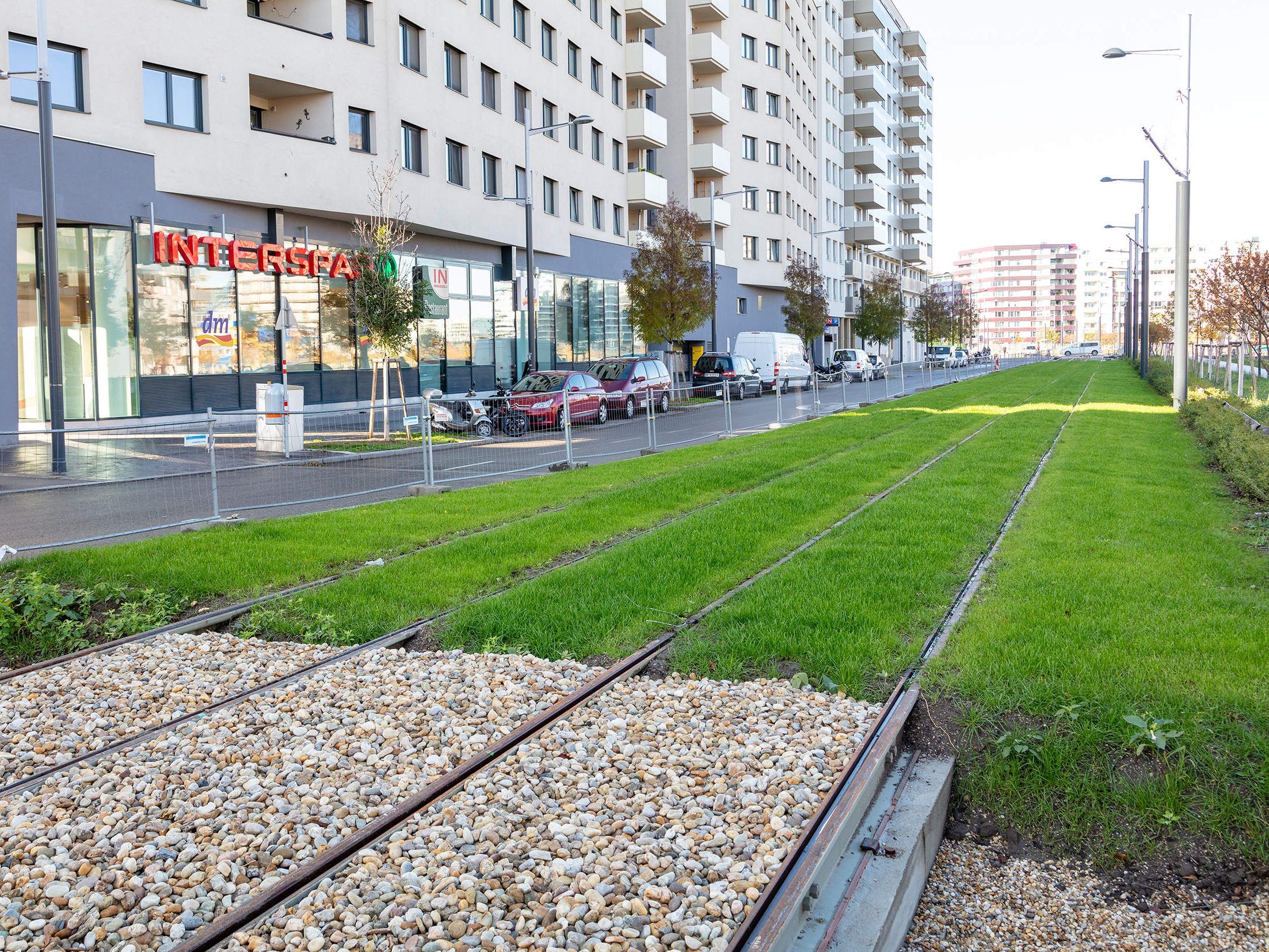Die Linie D ist auf einem knapp 800 Meter langen Grüngleis unterwegs. Die Linie D ist auf einem knapp 800 Meter langen Grüngleis unterwegs.