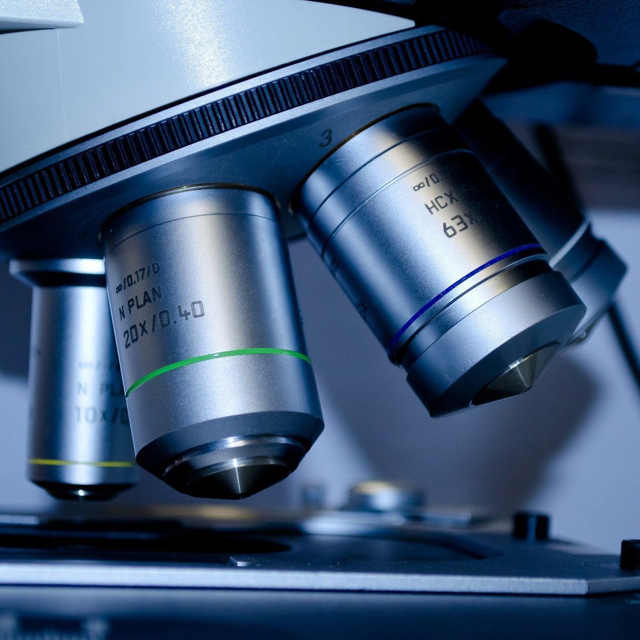 Vier neue Spezialforschungsbereiche wurden vom FWF genehmigt und werden in Wien durchgeführt.