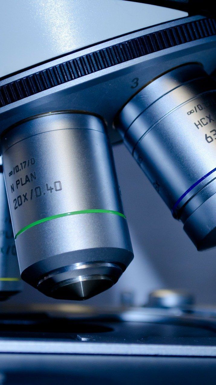 Vier neue Spezialforschungsbereiche wurden vom FWF genehmigt und werden in Wien durchgeführt.