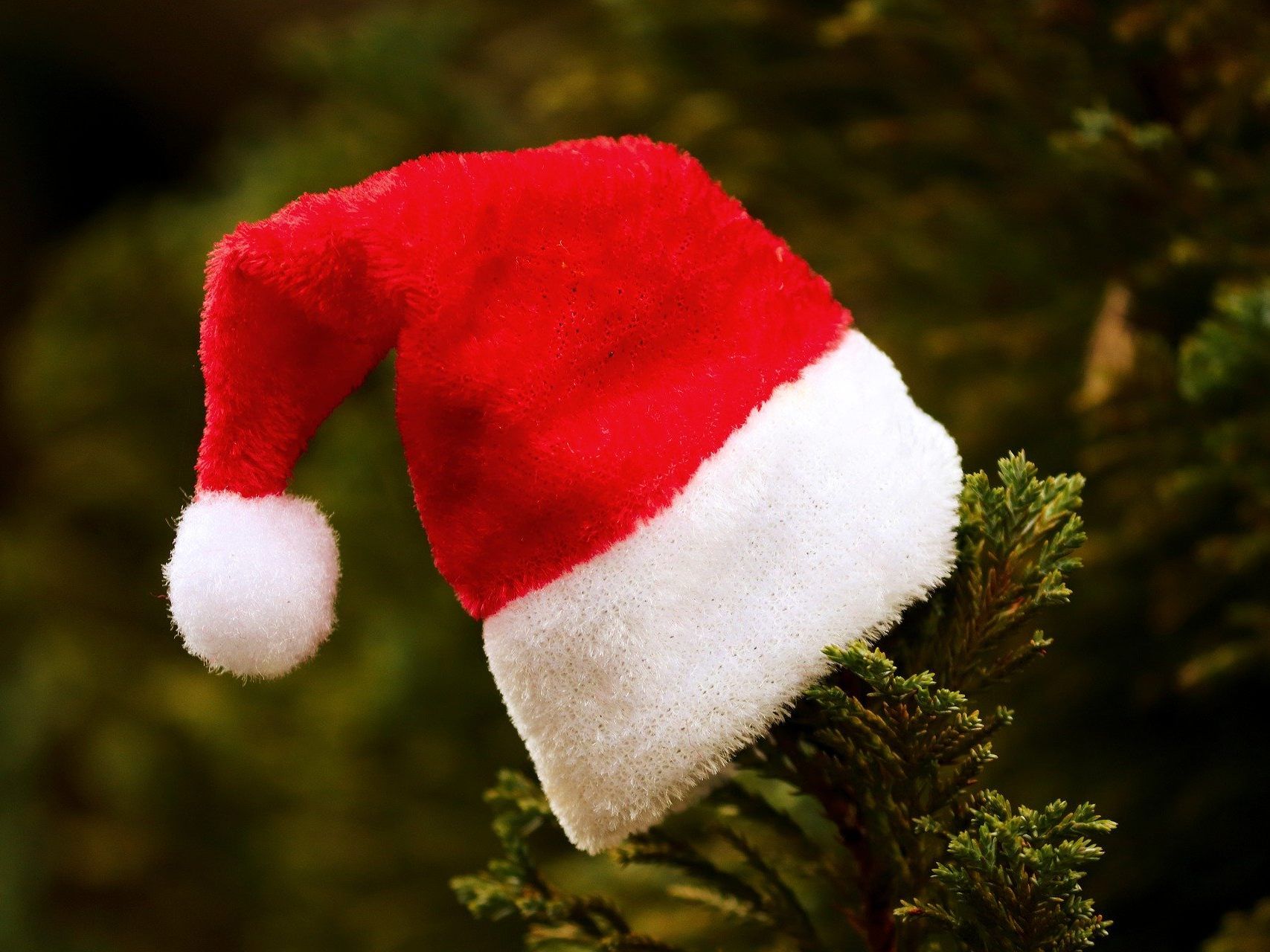 In der Wiener Innenstadt wurde ein als Weihnachtsmann verkleideter Straßenkünstler festgenommen. In der Wiener Innenstadt wurde ein als Weihnachtsmann verkleideter Straßenkünstler festgenommen.