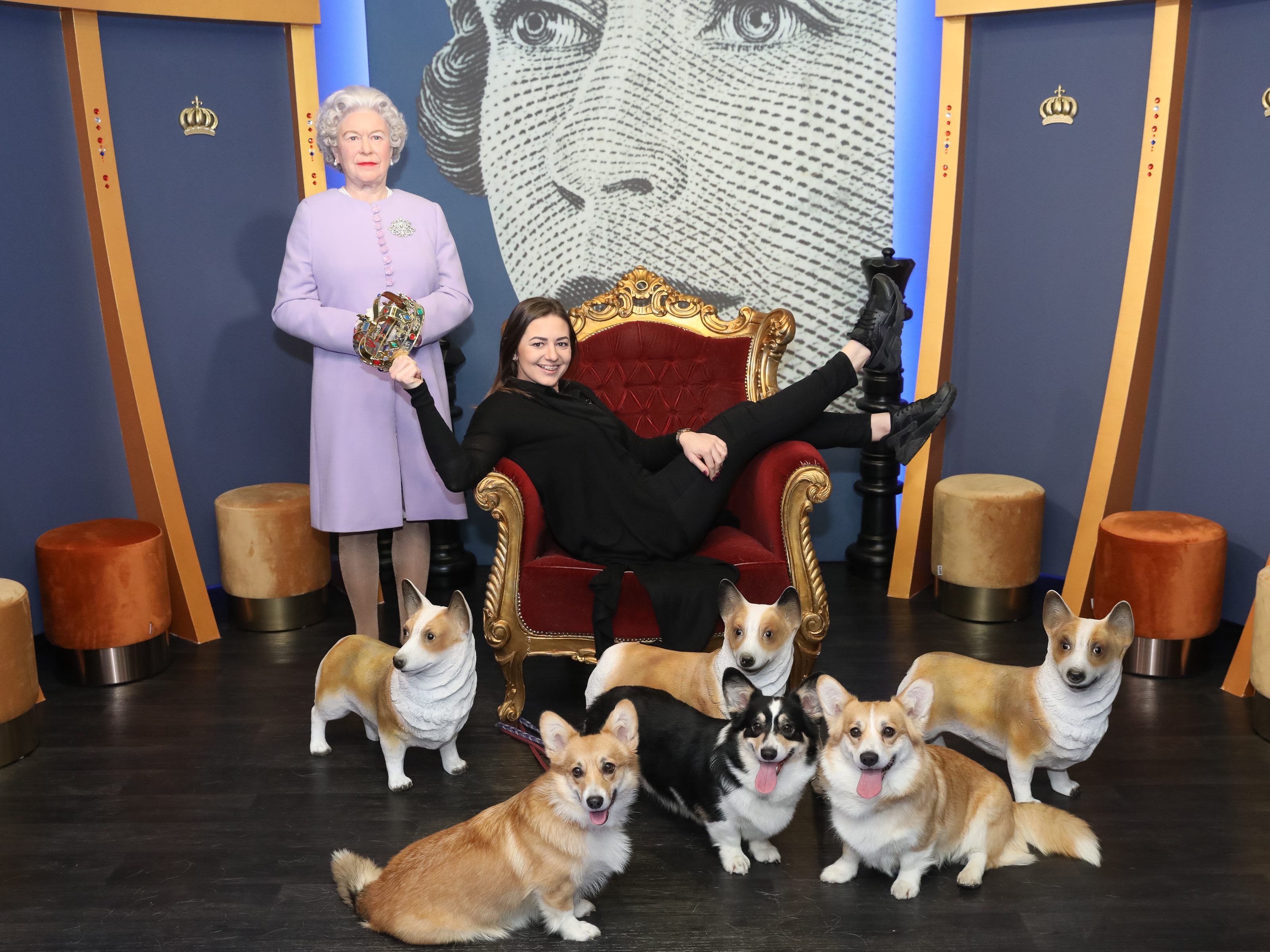 Queen Elizabeth mit Corgis im neuen Setting