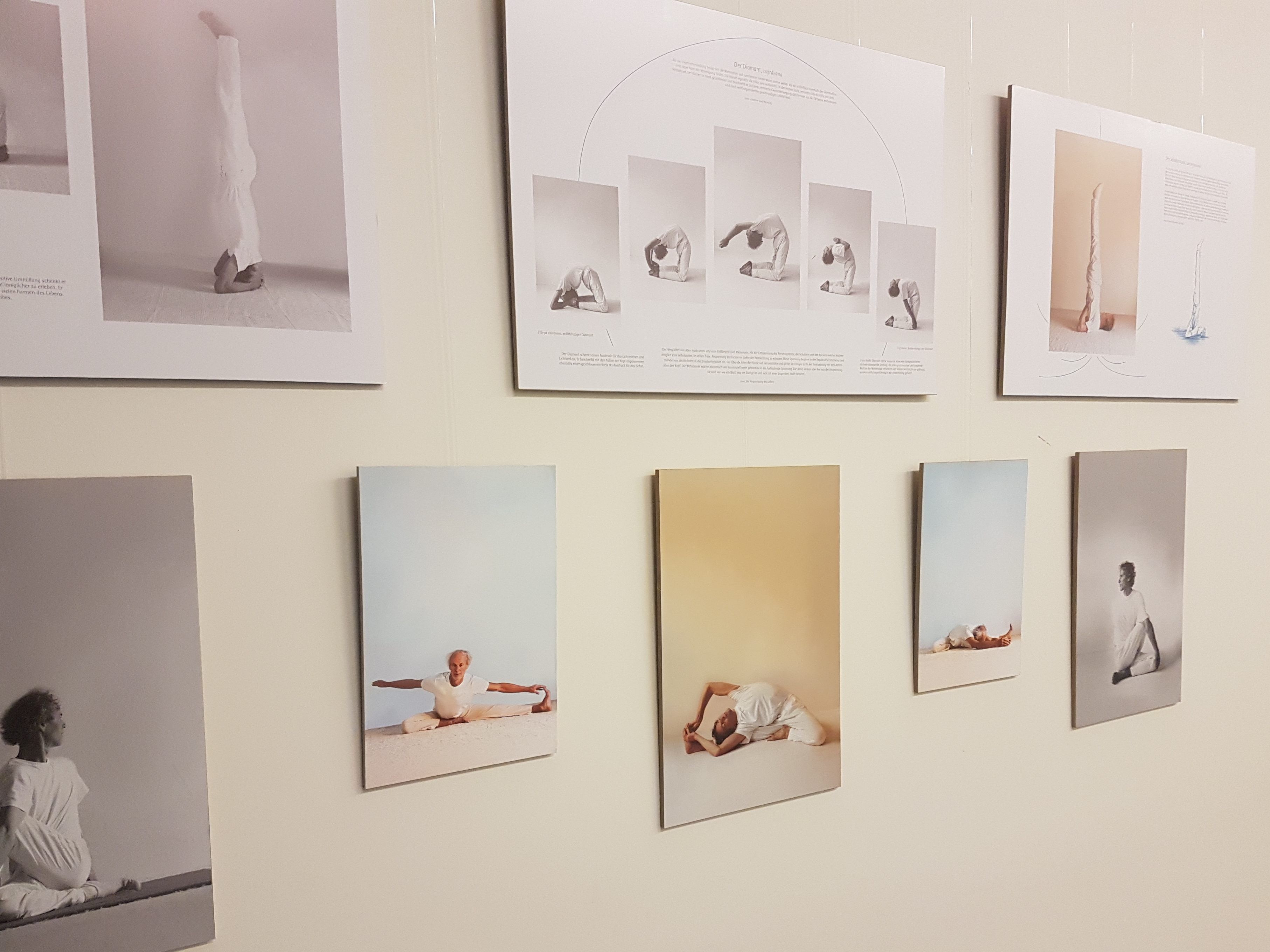 Die VHS Götzis lädt zur Vernissage ein. Die VHS Götzis lädt zur Vernissage ein.