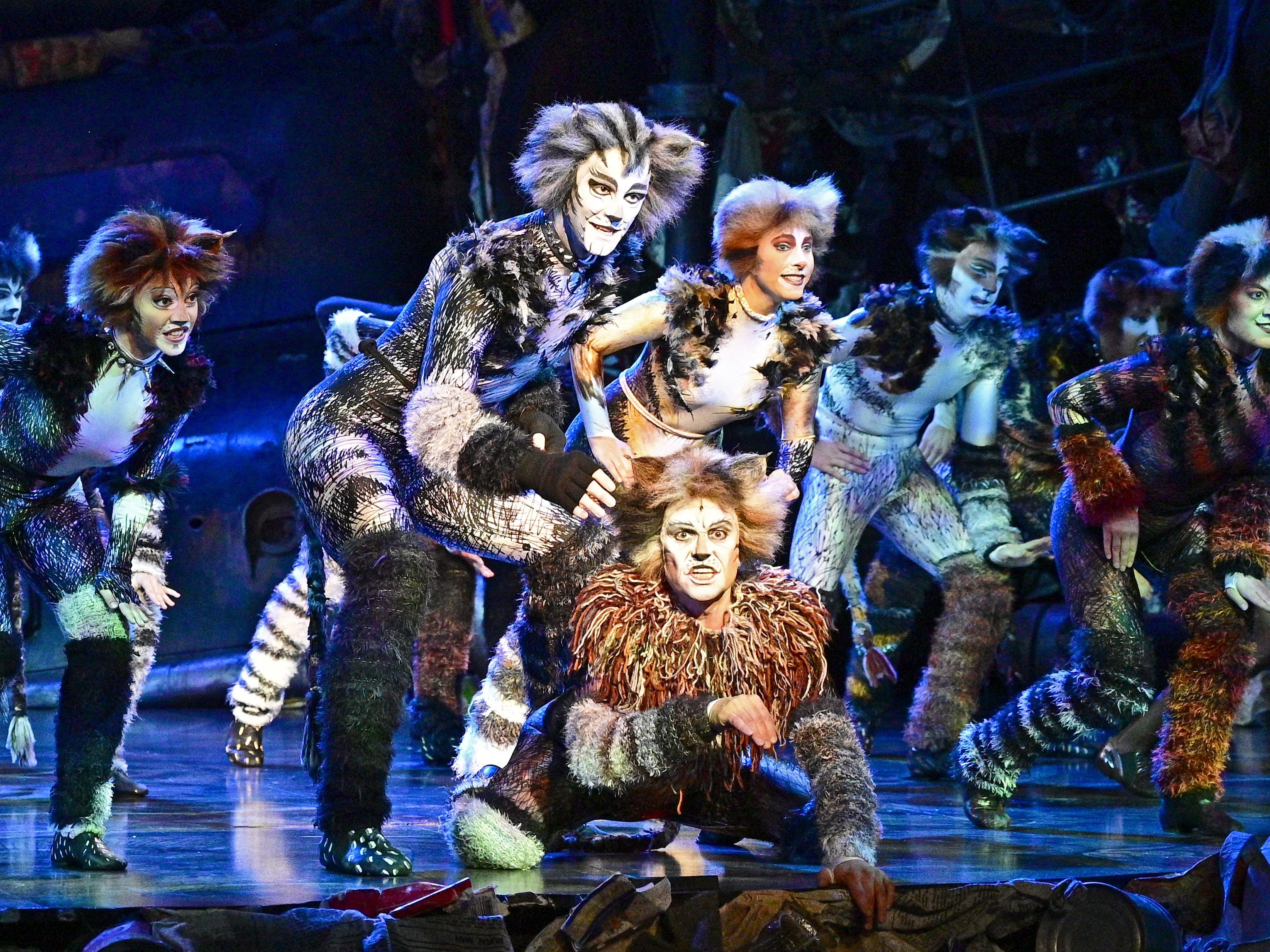 Das Musical "Cats" feiert im Wiener Ronacher Verlängerung.