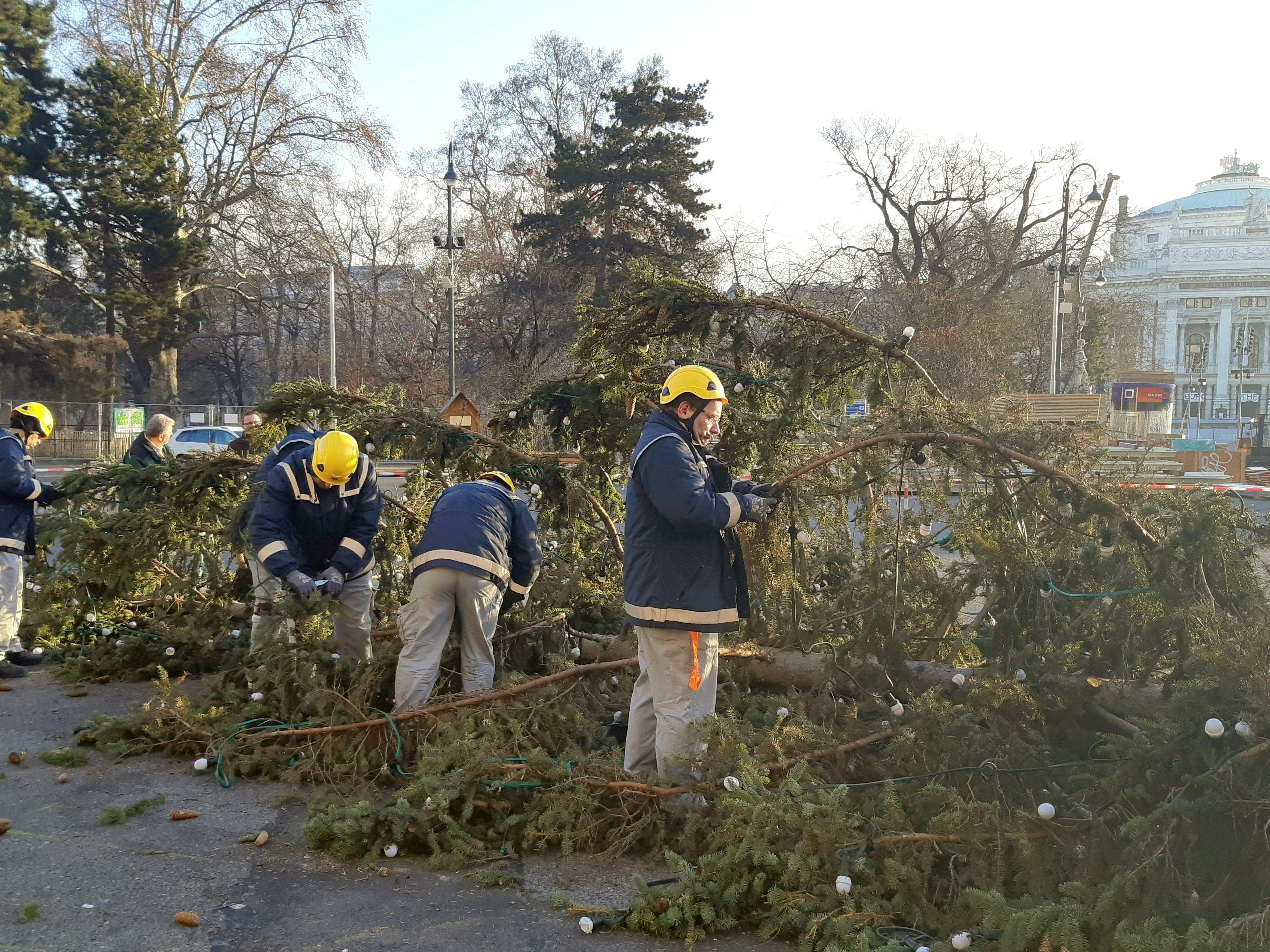 Der Christbaum wird verbrannt. Der Christbaum wird verbrannt.