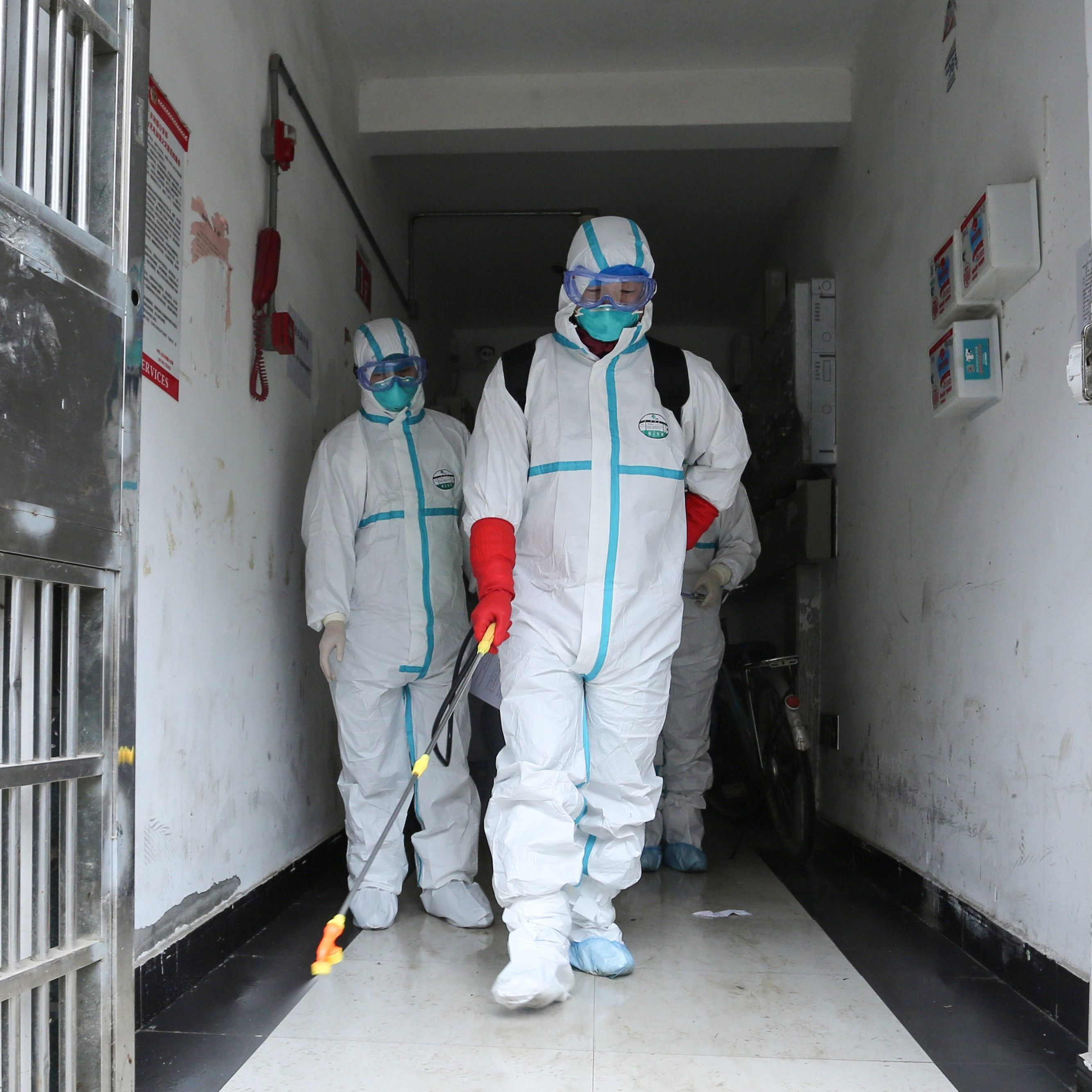 Ein Fall in Bayern wurde nun bestätigt.