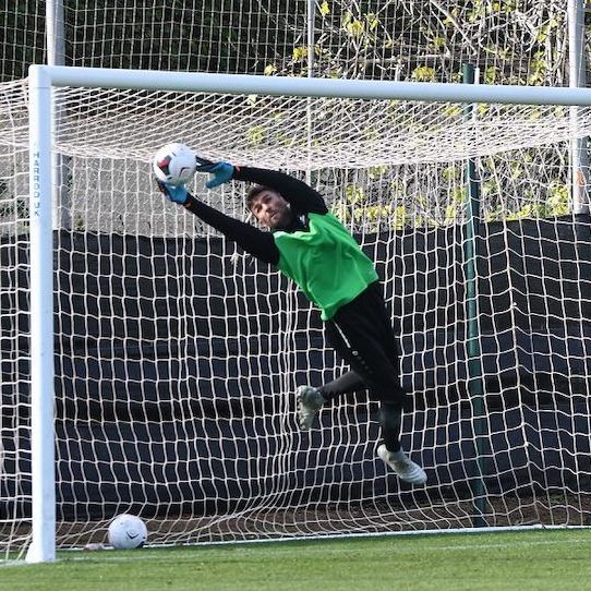 Dejan Stojanovic hat sich per sofort dem FC Middlesbrough angeschlossen.