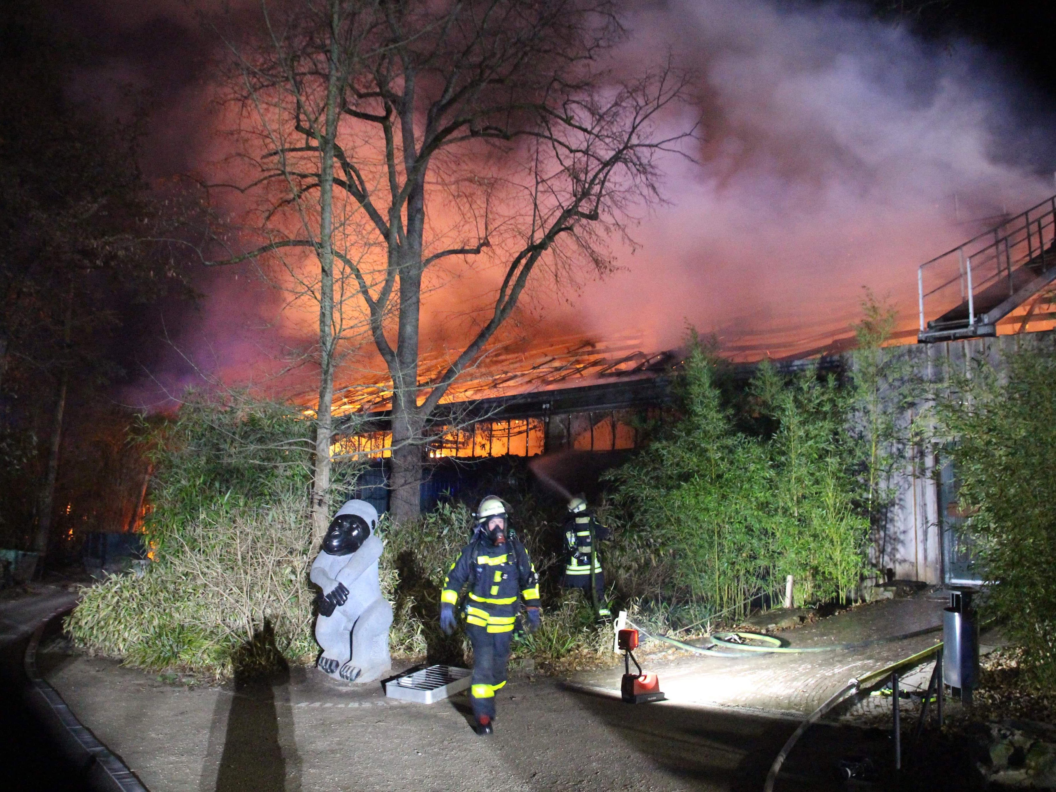 Das Affenhaus im Krefelder Zoo in Flammen.