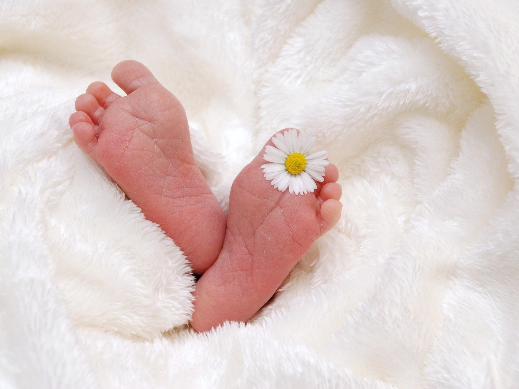 Eleon Engl-Misirlisoy ist das Neujahrsbaby von Washington D.C. - und ein Österreicher. Eleon Engl-Misirlisoy ist das Neujahrsbaby von Washington D.C. - und ein Österreicher.