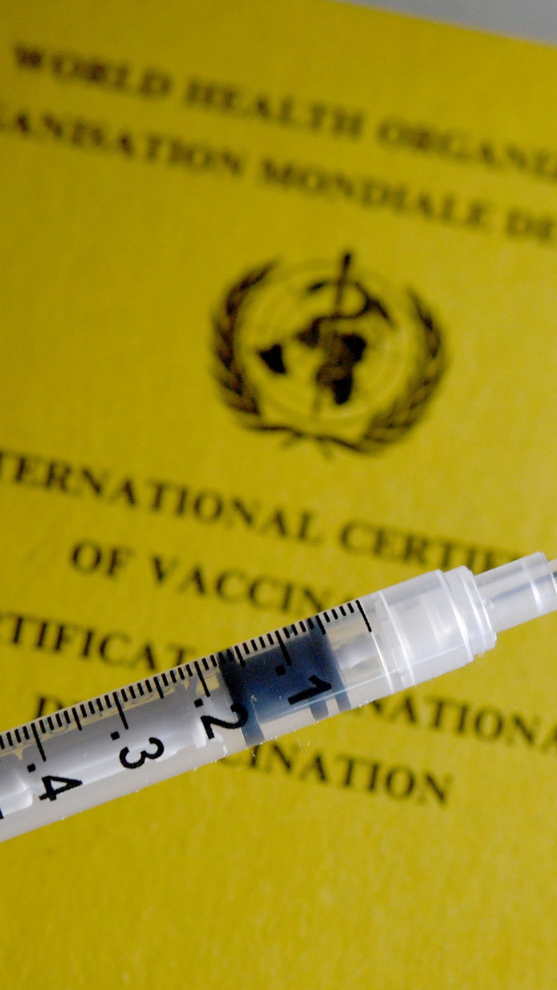 Mit einer Impfpflicht allein ist laut Experten die Gefahr noch nicht gebannt.