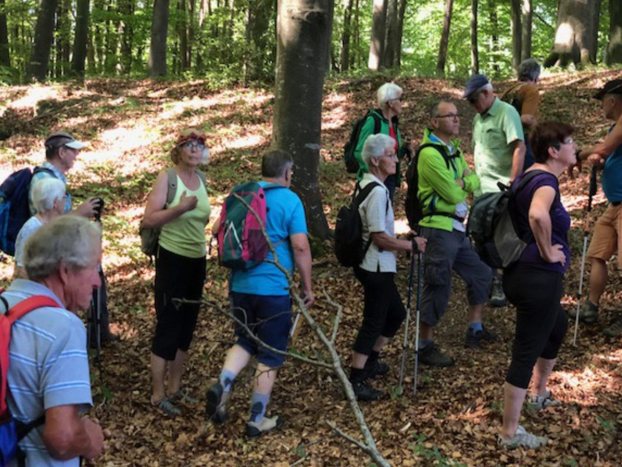 Natur z´Kobla gibt interessante Einblicke