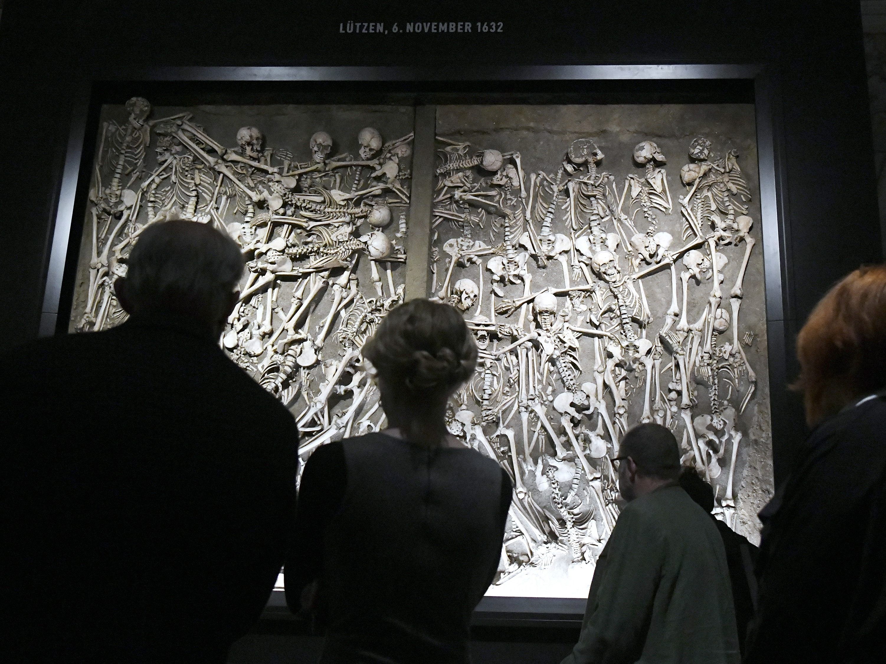 Das NHM in Wien hat seine Sammlung digitalisiert. Das NHM in Wien hat seine Sammlung digitalisiert.