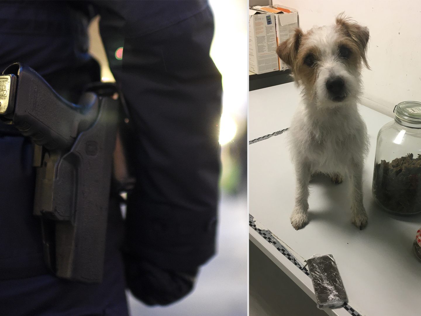 In Wien-Währing konnten größere Mengen Drogen gefunden werden. In Wien-Währing konnten größere Mengen Drogen gefunden werden.