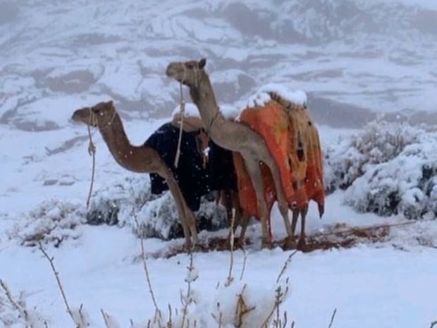 Schnee in Saudi-Arabien