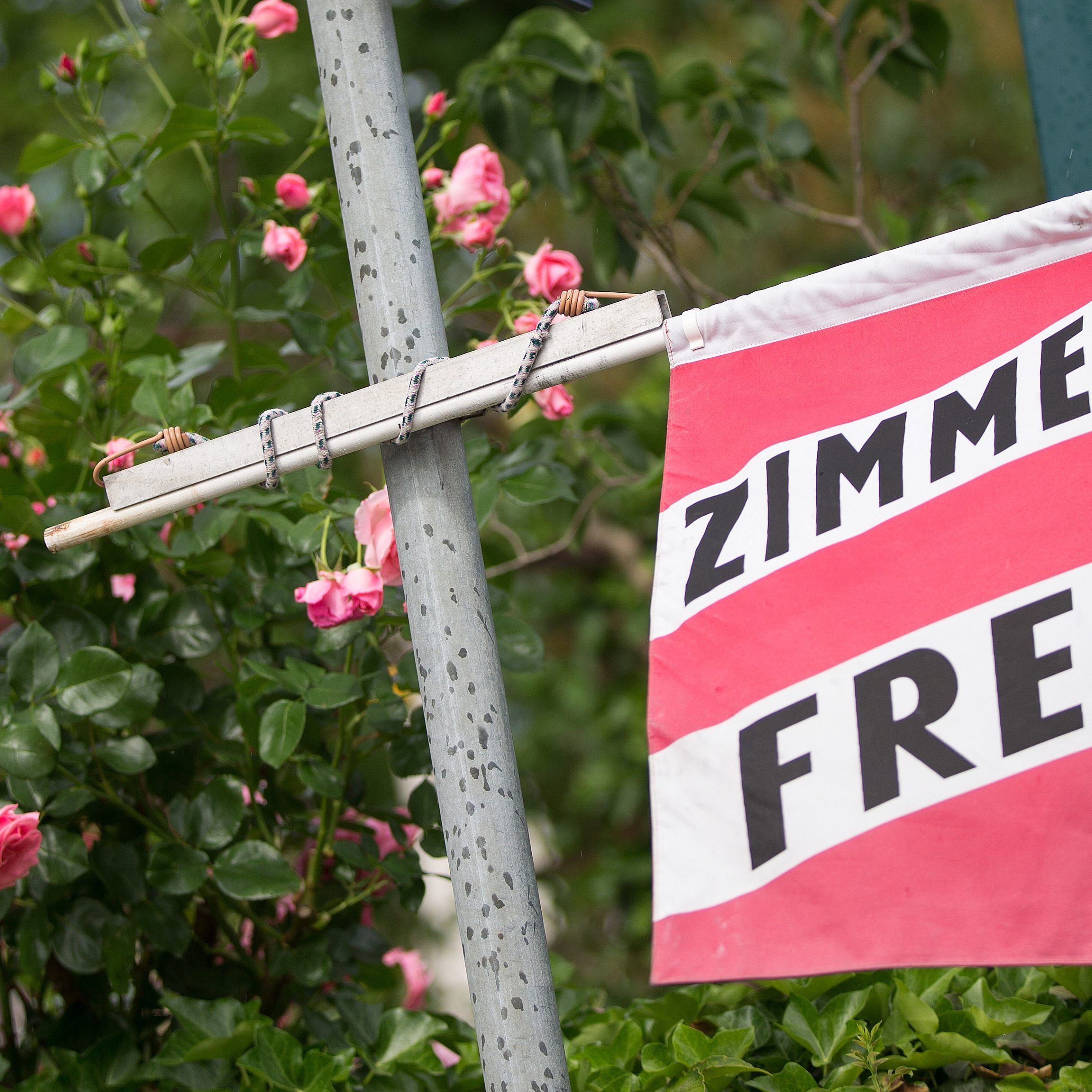 2019 konnte erstmals die 150 Millionen-Marke geknackt werden.