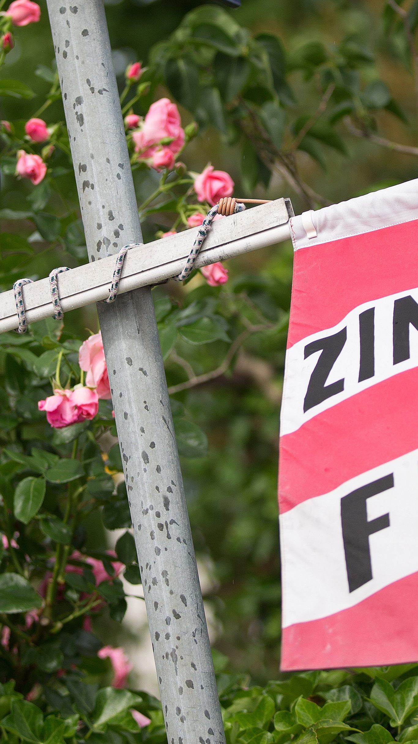 2019 konnte erstmals die 150 Millionen-Marke geknackt werden.