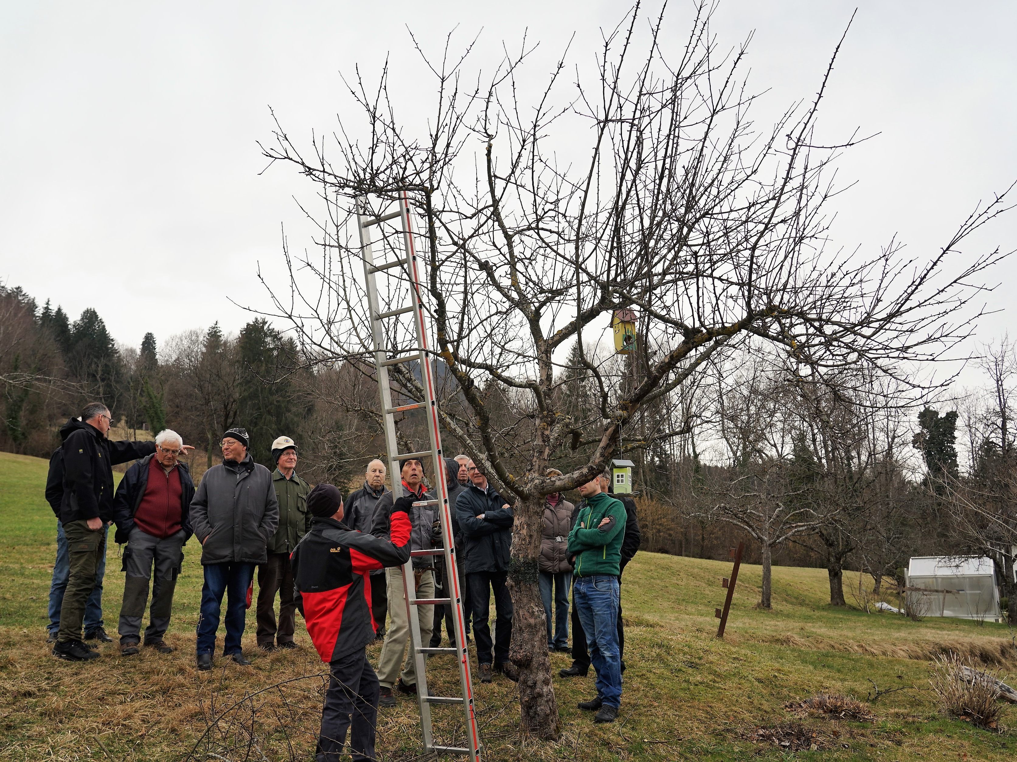 Winterschnittkurs 2019