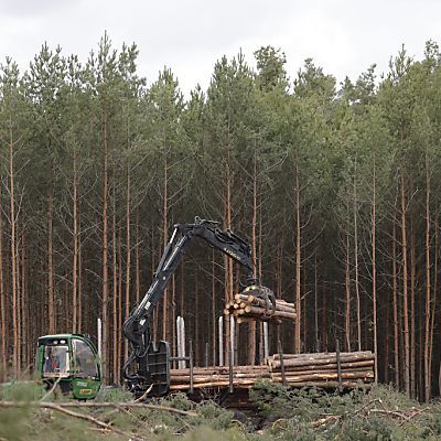 Eilanträge der Umweltschützer wurden abgewiesen