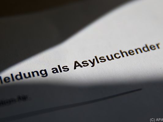 2019 wurden 12.511 Ansuchen gestellt