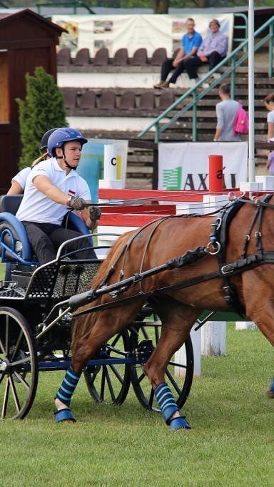Neun WM Medaillen stehen für Alexander Bösch auf der Habenseite