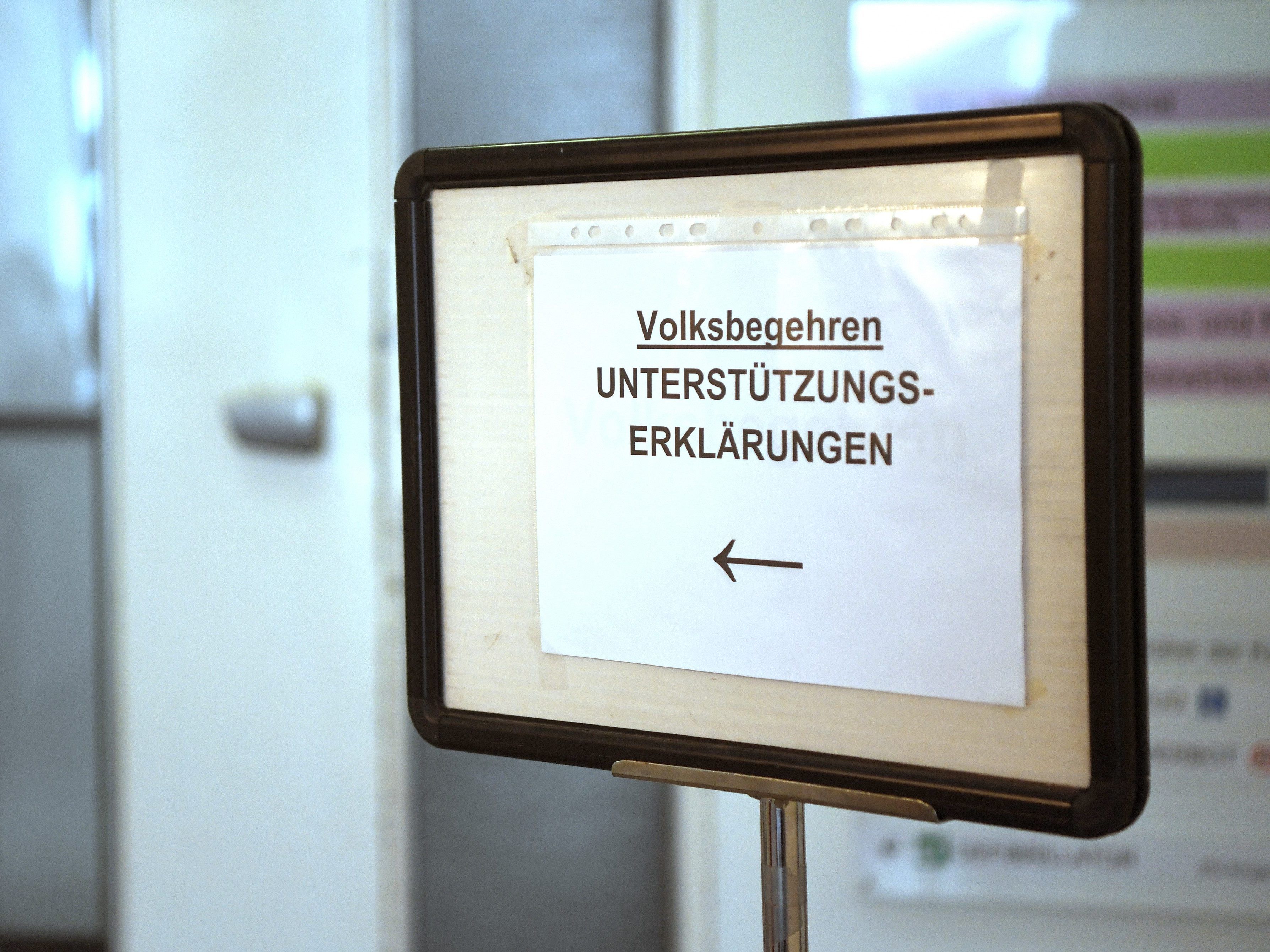 Ende August begann die Sammlung von Unterstützungserklärungen. Ende August begann die Sammlung von Unterstützungserklärungen.