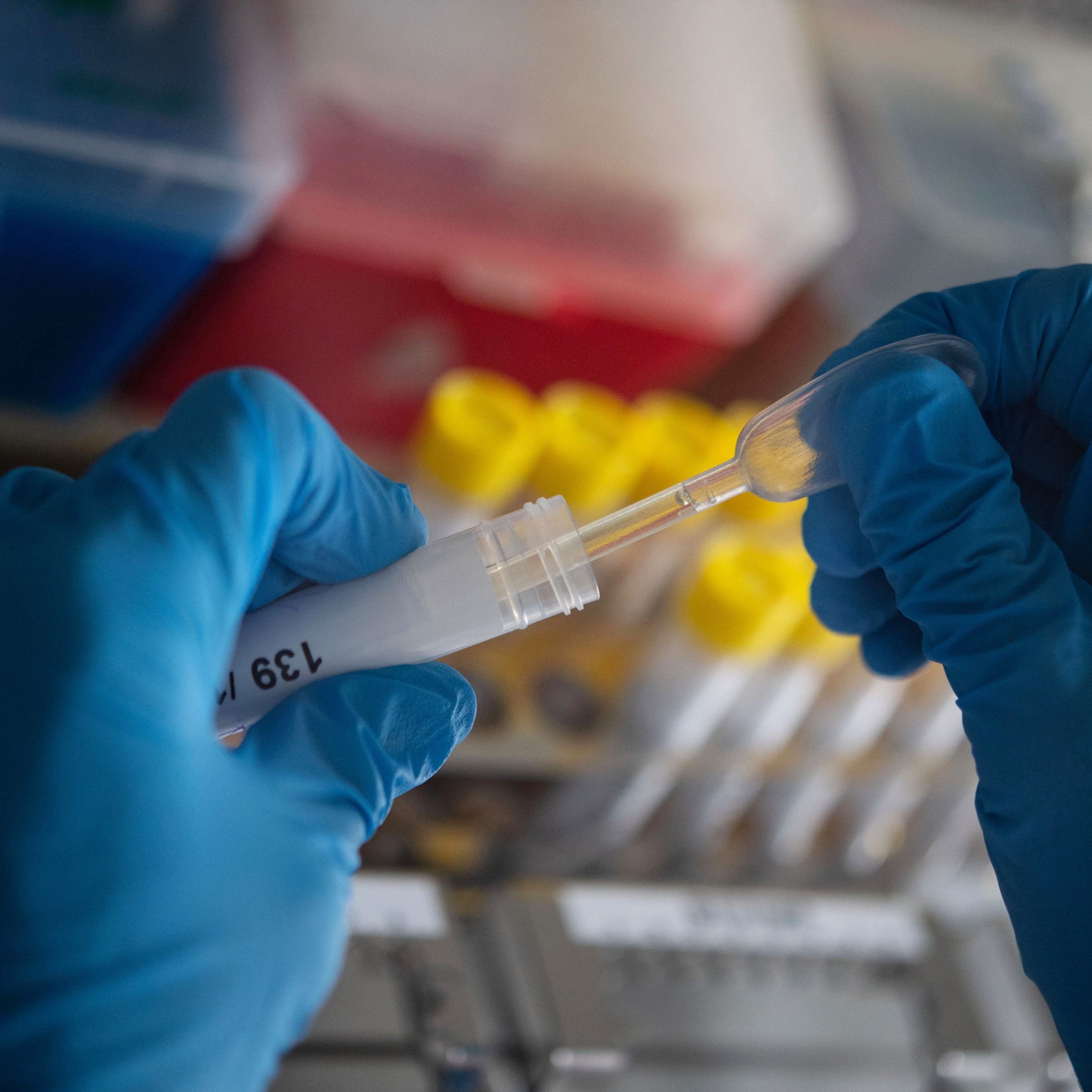 Auch die Schweiz bleibt nicht verschont