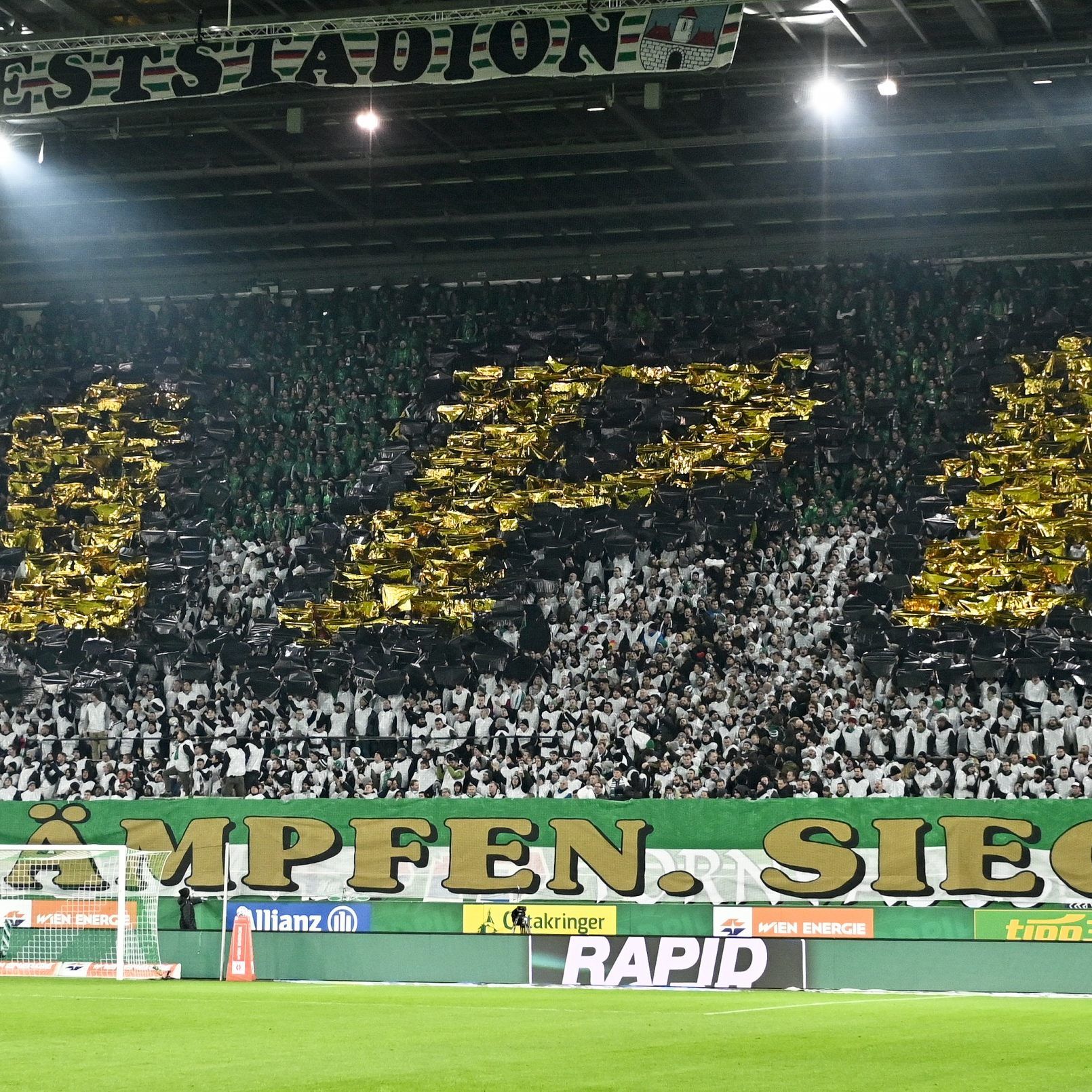 Rapid Wien verpflichtete Dejan Petrovic.