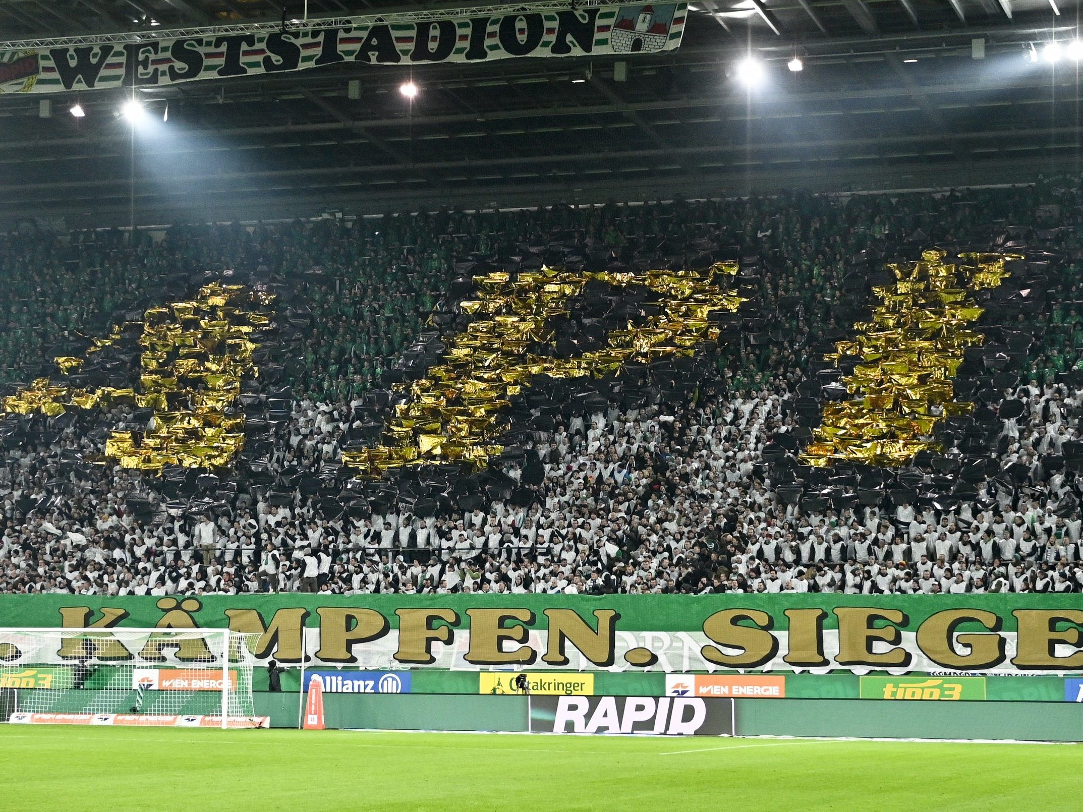 Rapid Wien verpflichtete Dejan Petrovic.