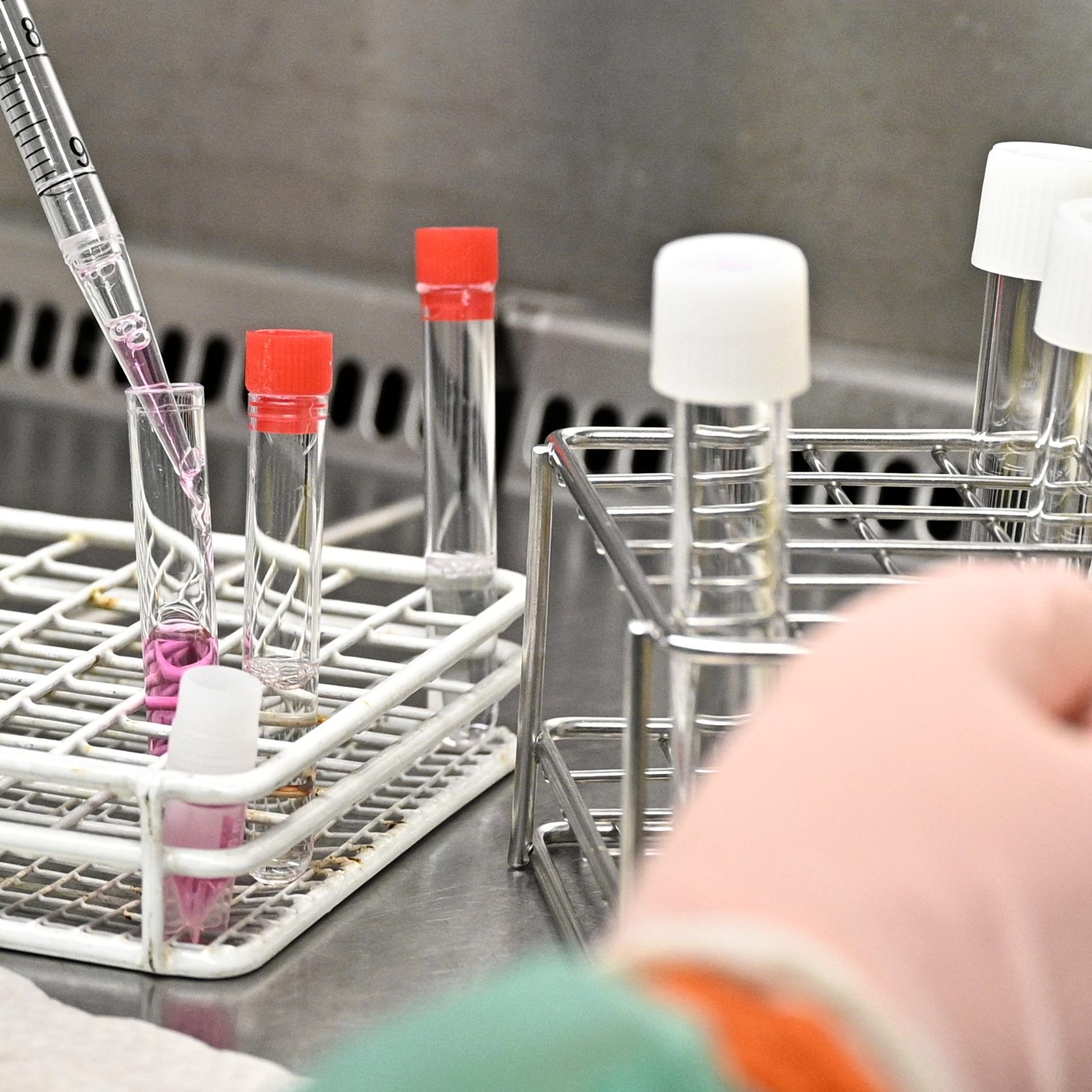 In Österreich wurde bislang kein Coronavirus-Verdachtsfall bestätigt.