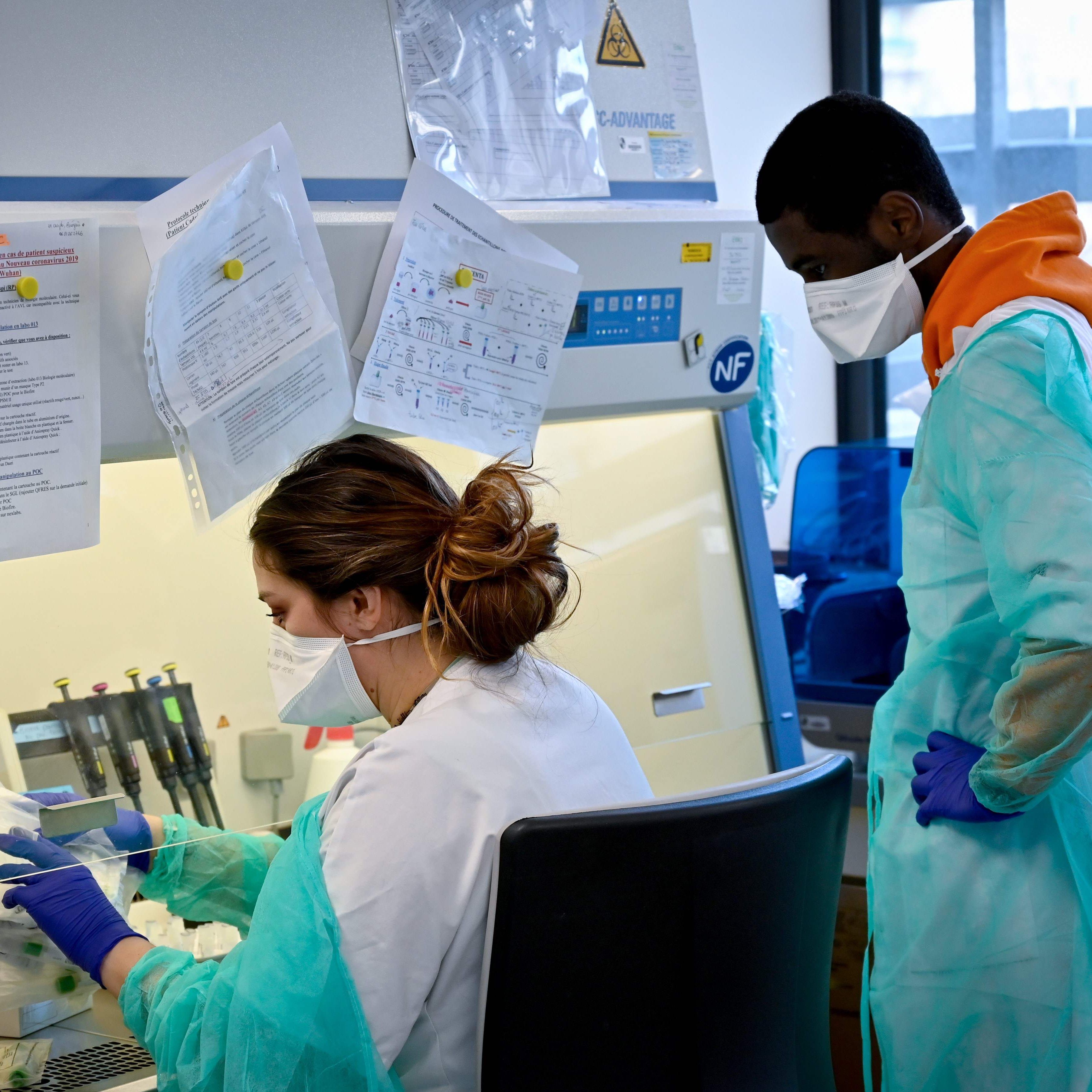 Forscher sollen vielversprechende Testergebnisse erzielt.