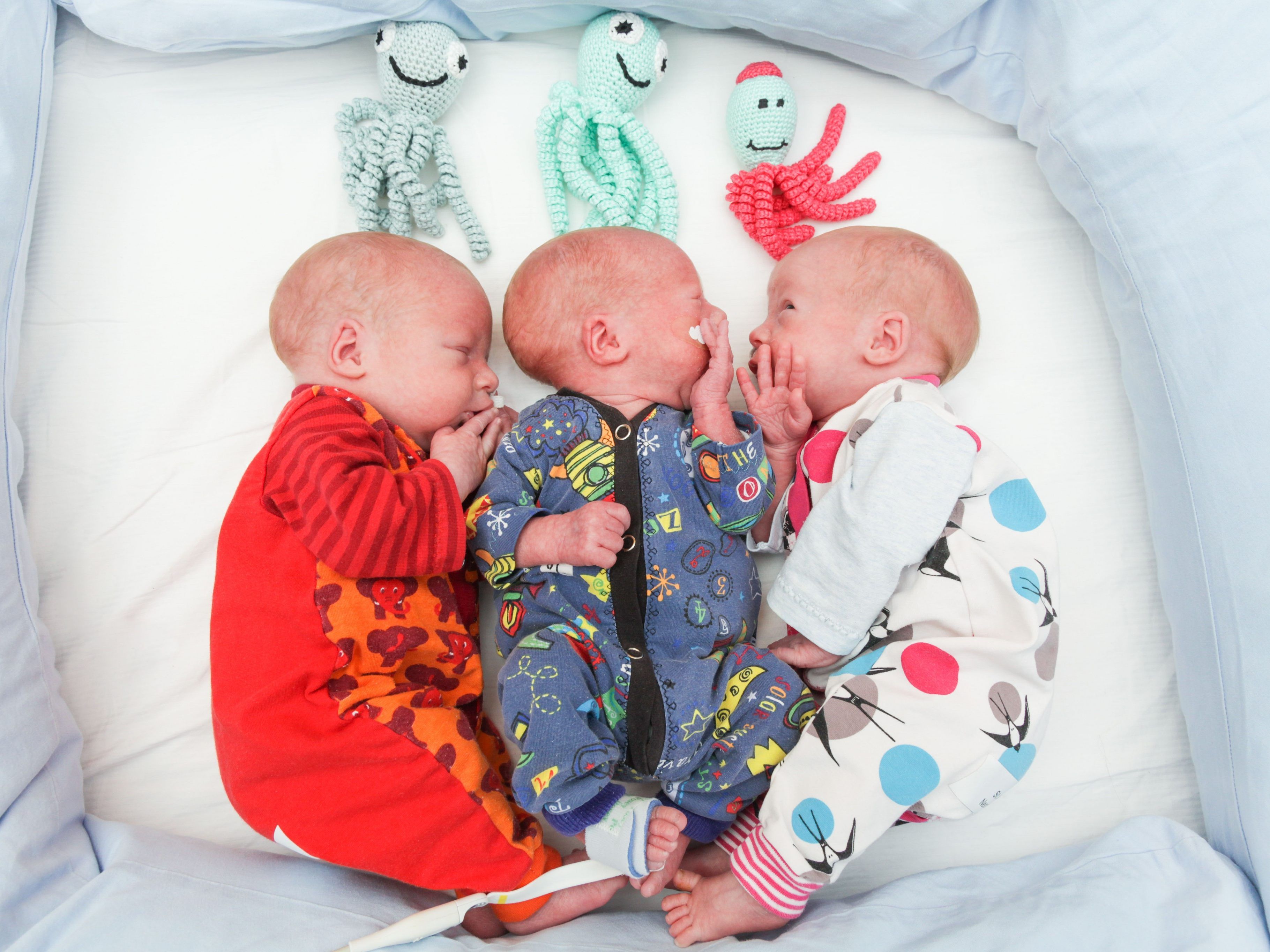 Die Babys bringen gemeinsam fast 5 Kilo auf die Waage. Die Babys bringen gemeinsam fast 5 Kilo auf die Waage.