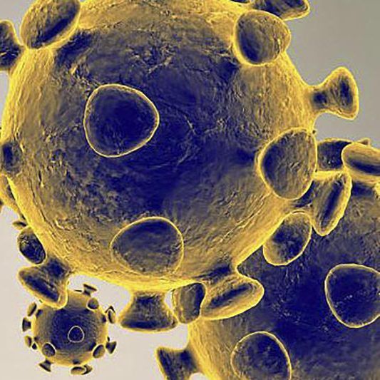 So schaut das Coronavirus unter dem Mikroskop aus