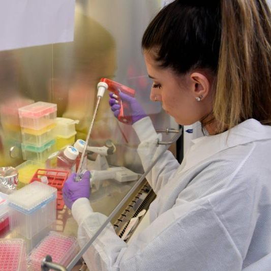 Niederösterreich hat ebenfalls seine ersten beiden Infizierten