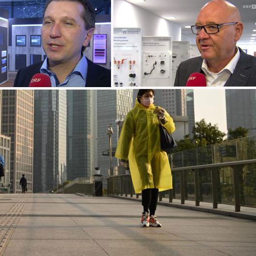 Behördenauflagen, Ausfälle von Arbeitern oder strengste Hygienevorschriften sind nur einige der Folgen