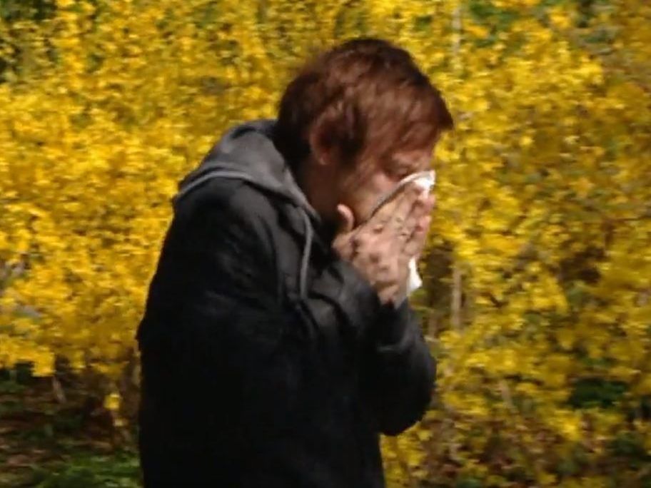 Tipps für Pollenallergiker.