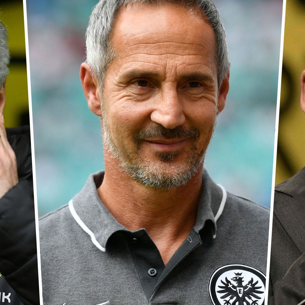 Adi Hütter könnte bei Borussia Dortmund Lucien Favre (l.) als Trainer ablösen. Die BVB-Geschäftsführung von Hans-Joachim Watzke (r.) hat eine Wunschliste.