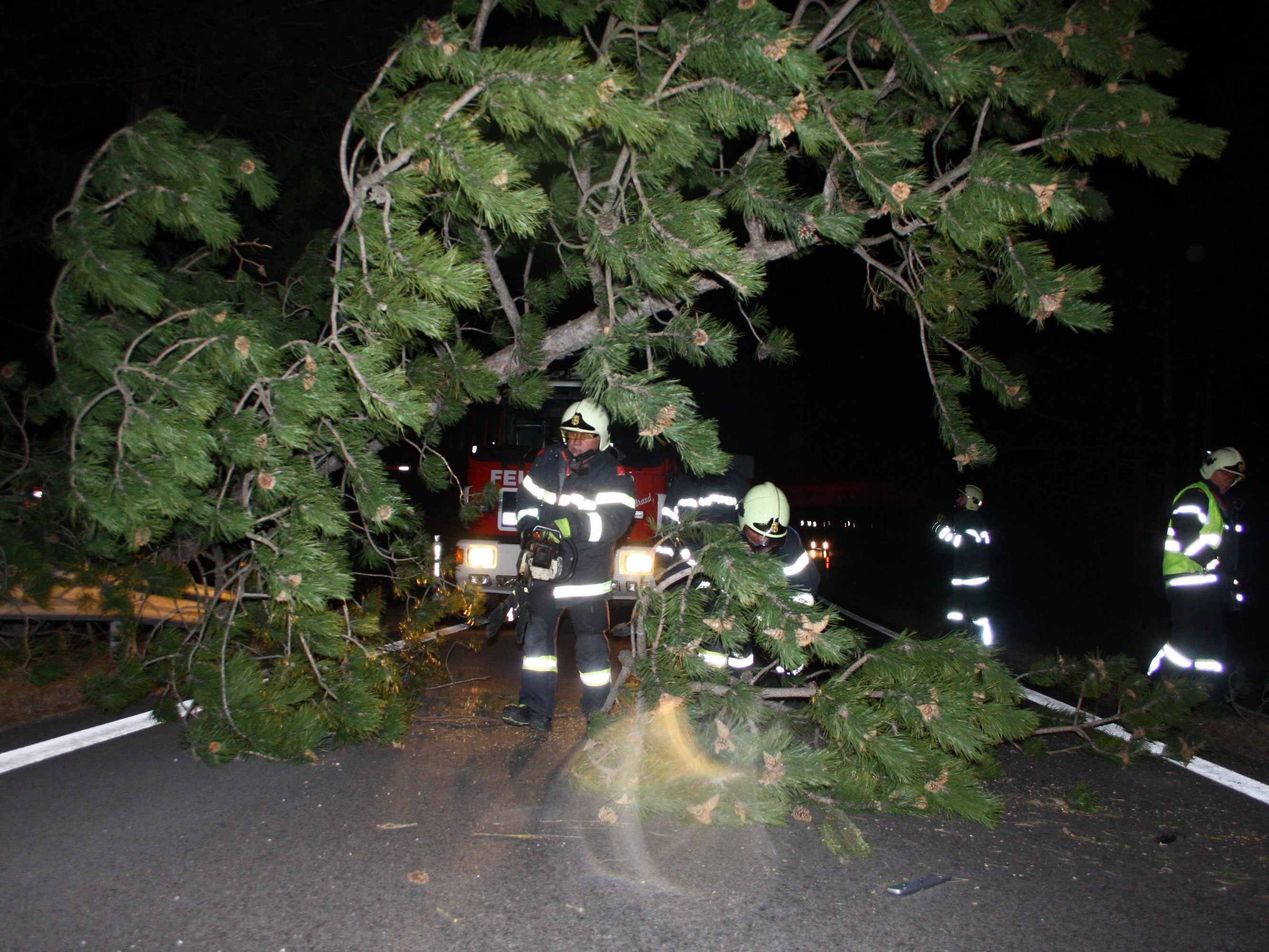 Mehrere umgestürzte Bäume mussten von der Feuerwehr entfernt werden.