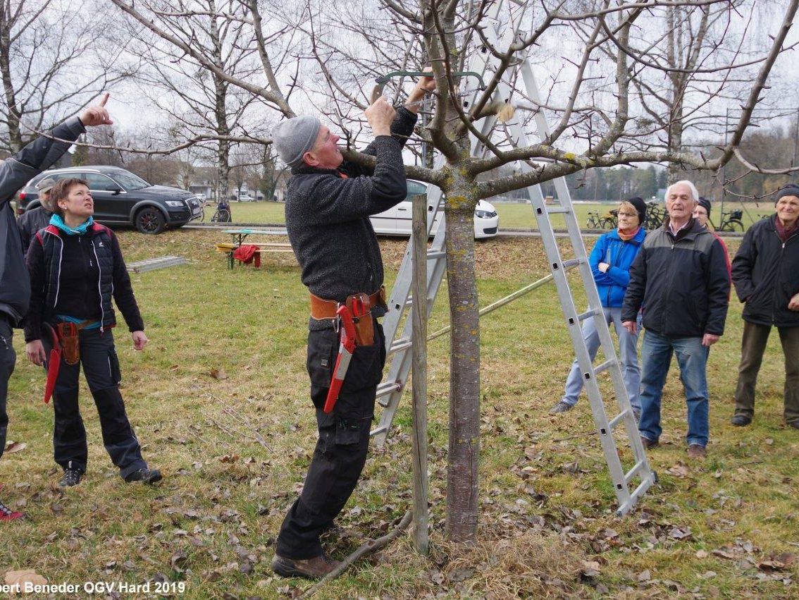 Winterschnittkurs an Obstgehölzen Winterschnittkurs an Obstgehölzen