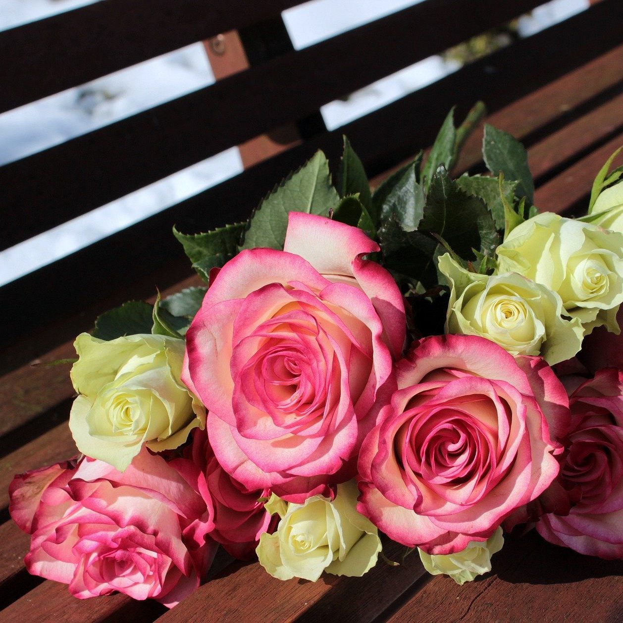 Zum Valentinstag ein Klassiker: Rosen - und die dürfen gerne auch einmal rosa statt rot sein