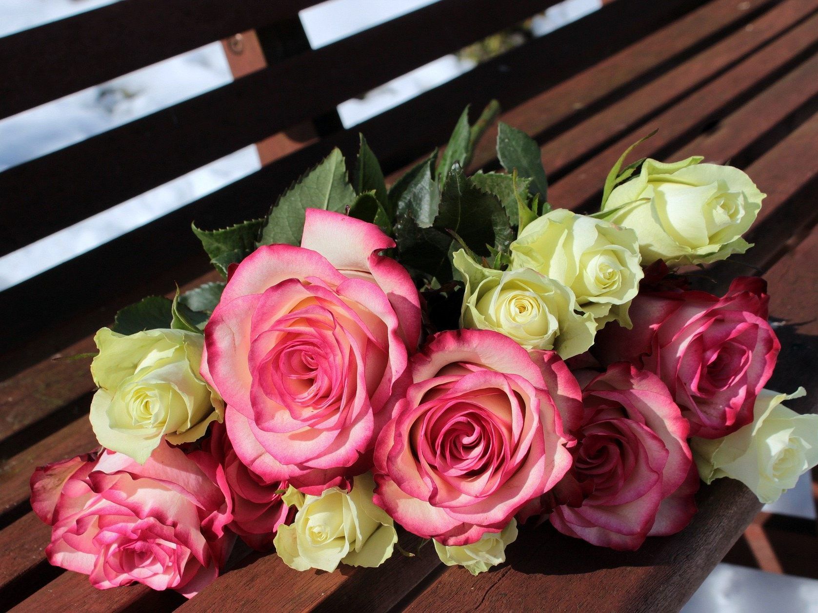 Zum Valentinstag ein Klassiker: Rosen - und die dürfen gerne auch einmal rosa statt rot sein