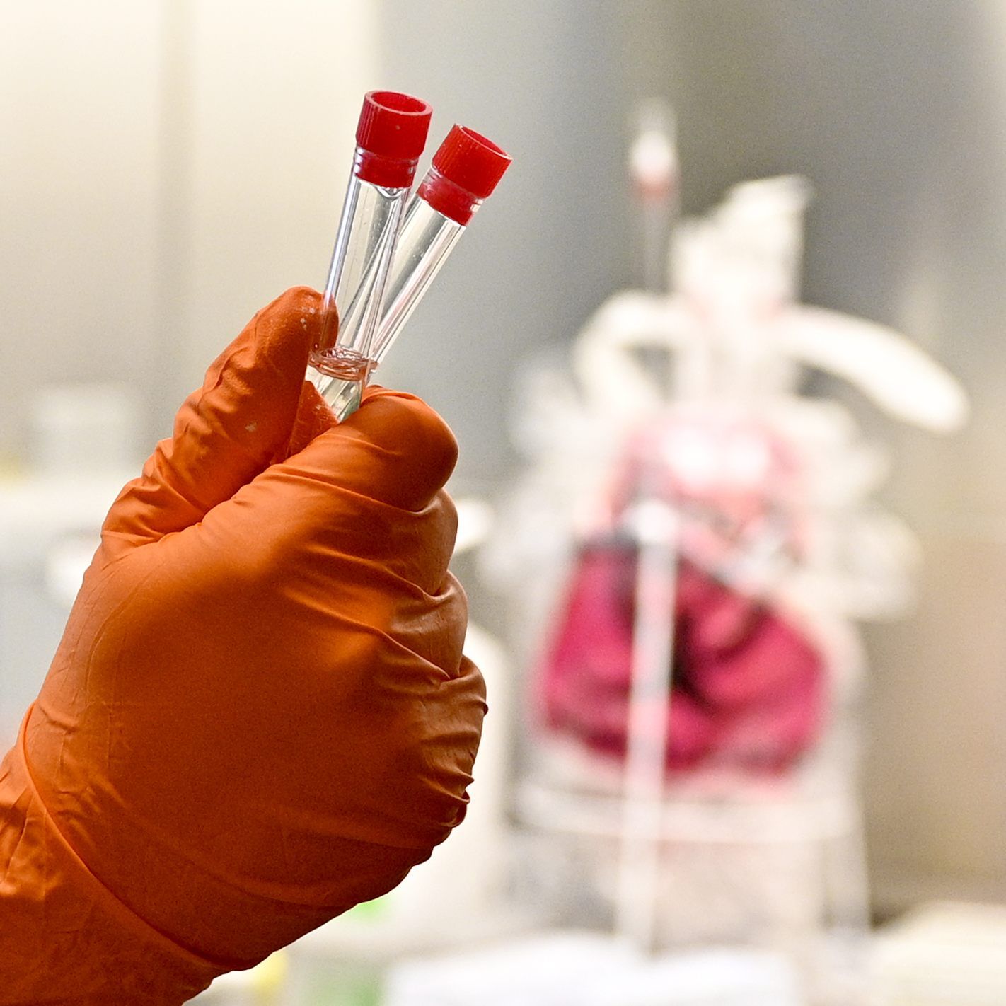 In St. Pölten sind derzeit 50 Krankenhaus-Mitarbeiter außer Dienst.