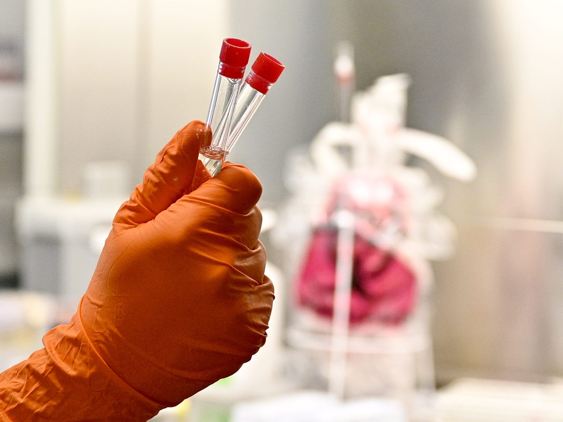 In St. Pölten sind derzeit 50 Krankenhaus-Mitarbeiter außer Dienst. In St. Pölten sind derzeit 50 Krankenhaus-Mitarbeiter außer Dienst.