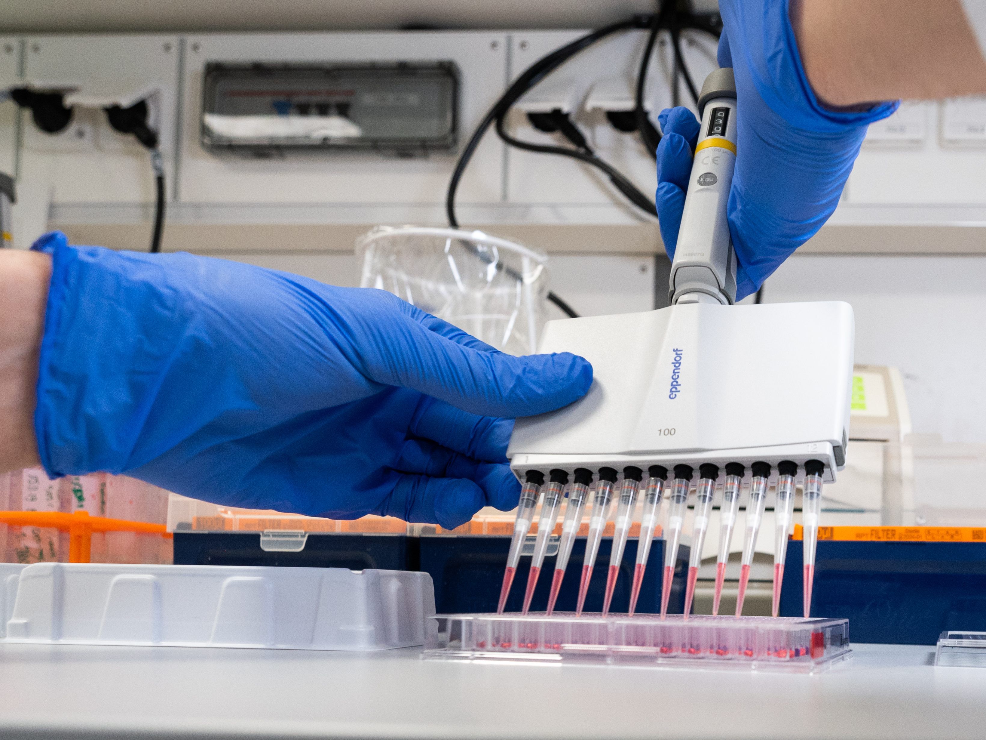 Am Freitag werden die letzten Tests durchgeführt. Am Freitag werden die letzten Tests durchgeführt.