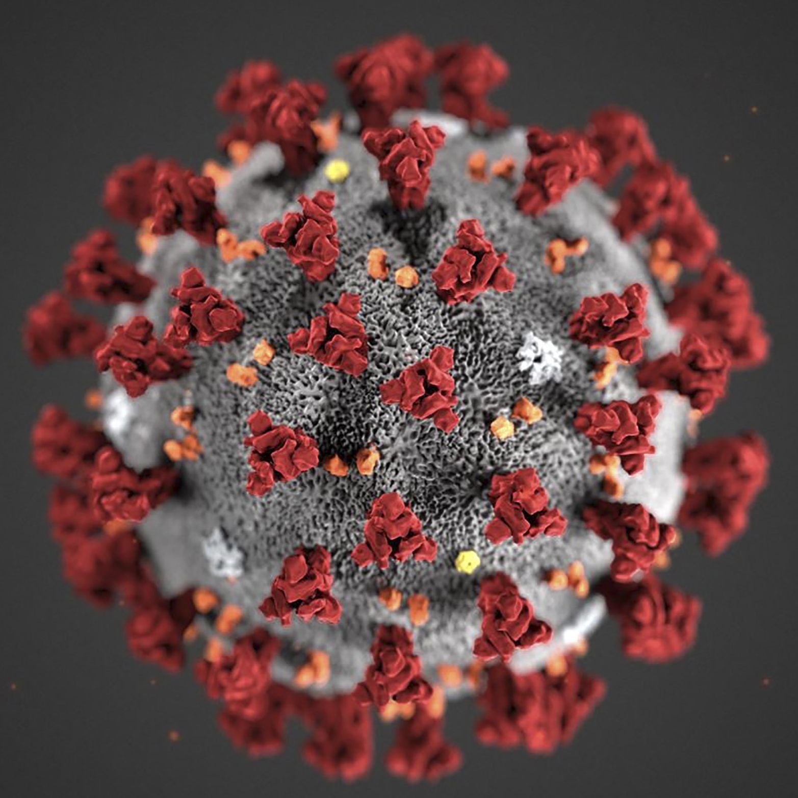 Bisher wurde noch kein Coronavirus-Fall in Österreich bestätigt.