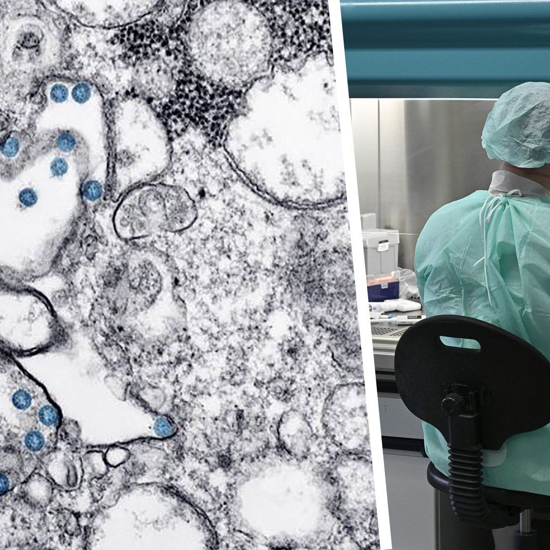 Coronavirus - ETH in Basel errechnete Ursprünge des Virus