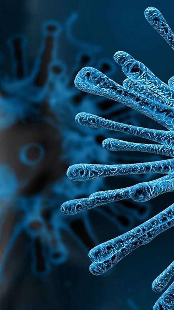 Experten gehen von drei Szenarien aus, wenn es um die Entwicklung rund um das Coronavirus geht.