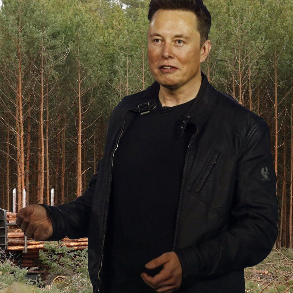 Tesla-Chef Elon Musk.